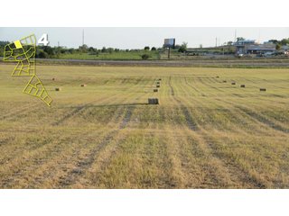 Property photo 22 - Mickle's Valley View Ranch and Canyon West Golf Club 506+/- Acres Offered in 27 Tracts in Weatherford, TX